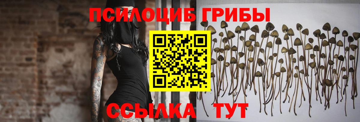 Галлюциногенные грибы прущие грибы  Вход с VPN  Одинцово 